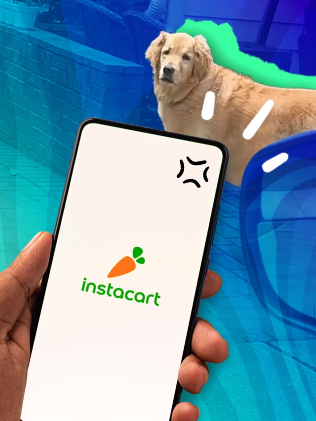 Instacart on phone in hand with dog over blue and green