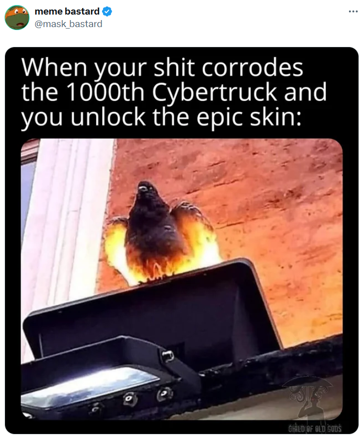 Cybertruck meme with a photo of a pigeon lit up from below.