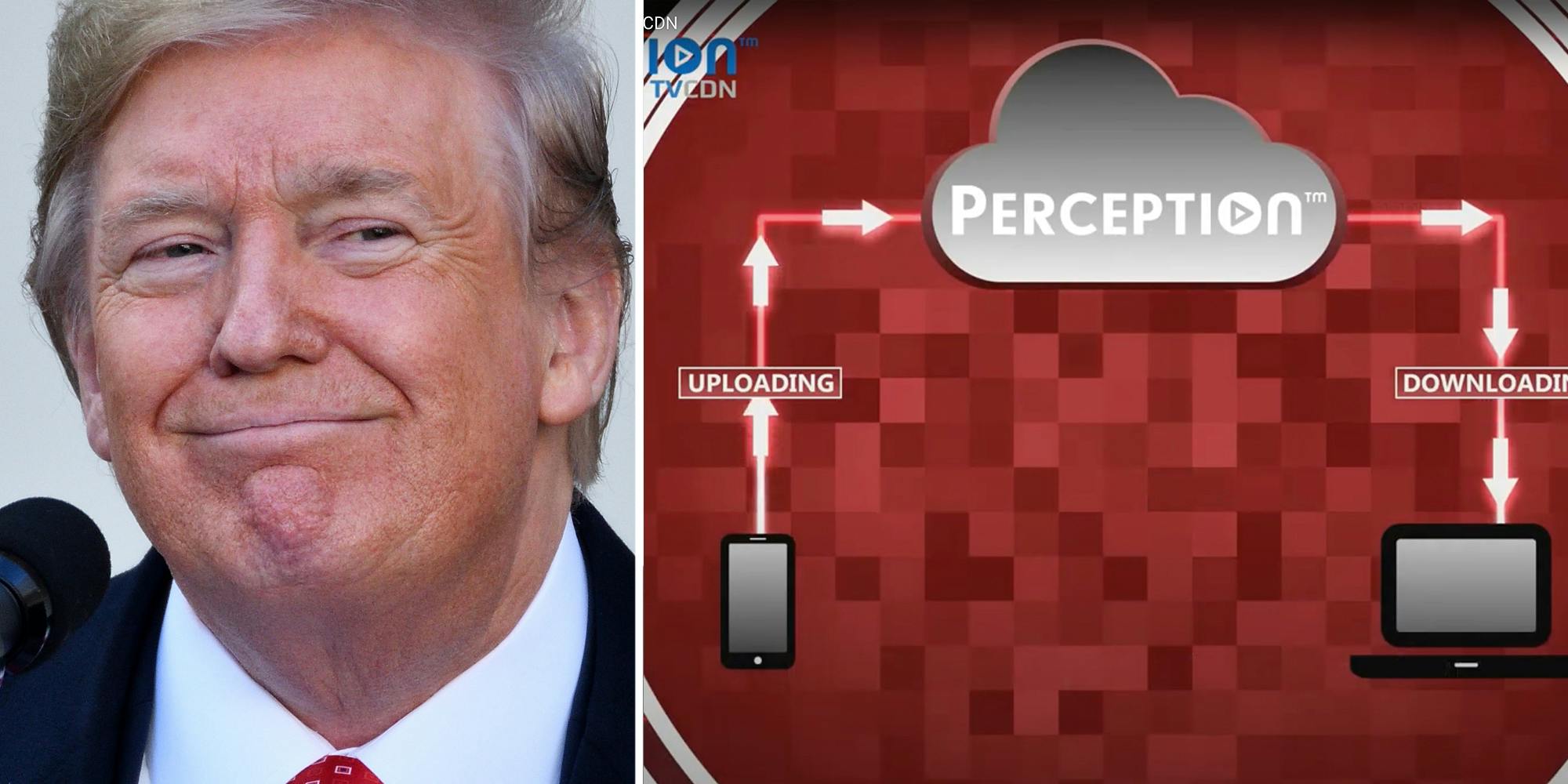 Donald Trump(l), Perception graphic(r)