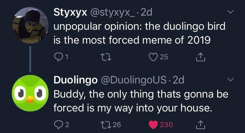 x user tweets 'Styxyx @styxyx_2d unpopular opinion: the duolingo bird is the most forced meme of 2019,' to which duolingo replies, 'Buddy, the only thing thats gonna be forced is my way into your house'