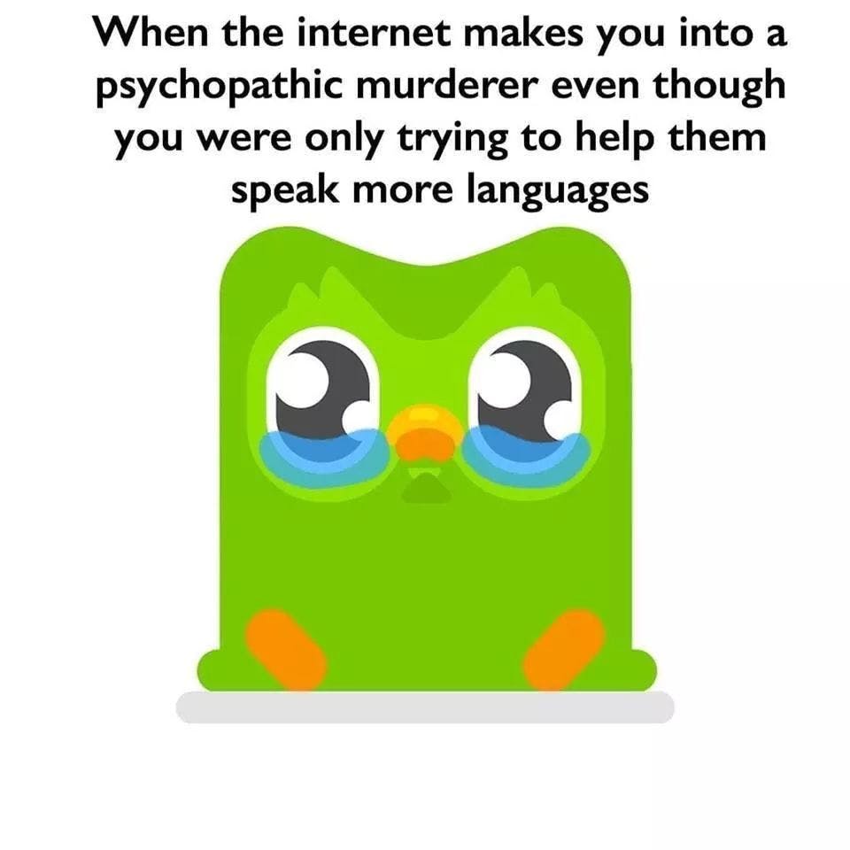 duolingo bird crying with caption 'When the internet makes you into a psychopathic murderer even though you were only trying to help them speak more languages'