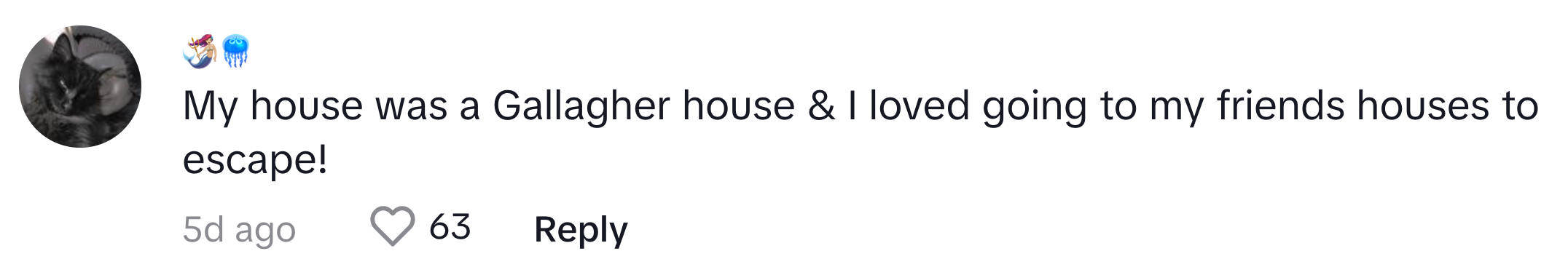 TikTok comment that reads, 'My house was a Gallagher house & I loved going to my friends houses to escape!'