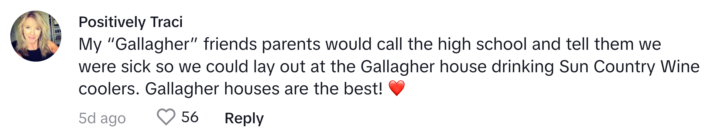 TikTok comment that reads, 'My 'Gallagher' friends parents would call the high school and tell them we were sick so we could lay out at the Gallagher house drinking Sun Country Wine coolers. Gallagher houses are the best! ❤️'