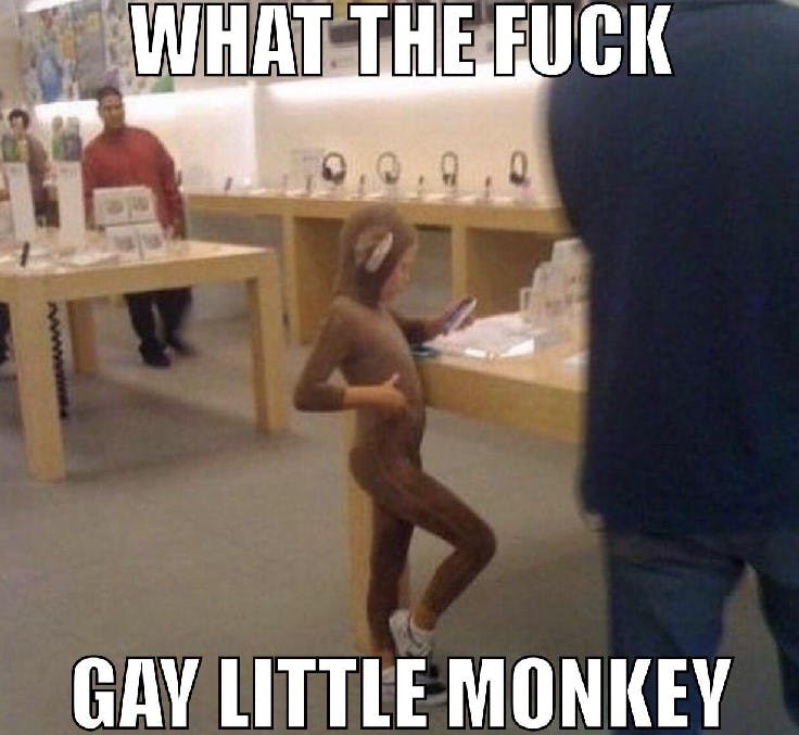 what the f--k gay little monkey meme