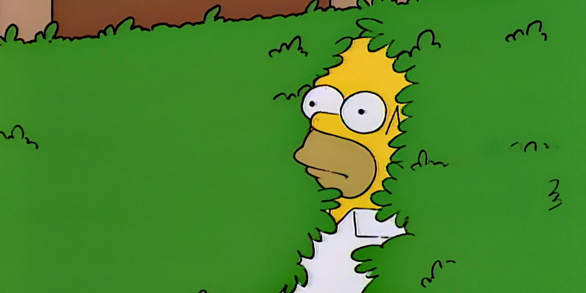 homer simpson disappearing into hedge