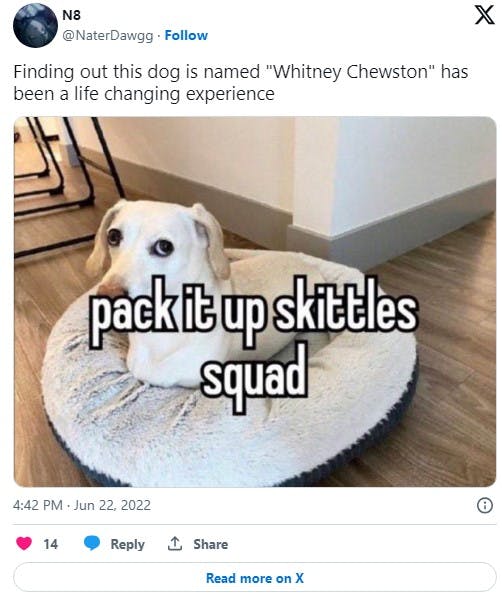 whitney chewston tweet that reads 'Finding out this dog is named 'Whitney Chewston' has been a life changing experience'