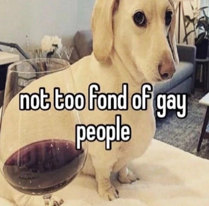 original 'not too fond of gay people' meme