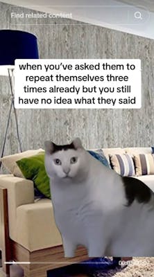 huh cat with caption "when you've asked them to repeat themselves three times already but you still have no idea what they said"
