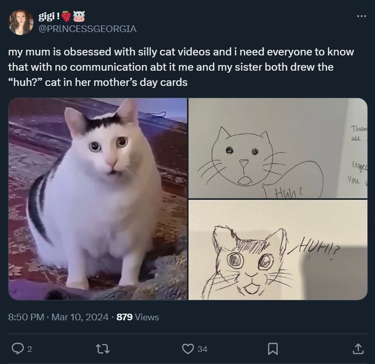 huh cat with two drawings of the same cat in a tweet that reads 'my mum is obsessed with silly cat videos and i need everyone to know that with no communication abt it me and my sister both drew the 'huh?' cat in her mother’s day cards'