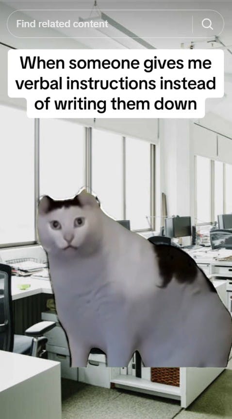 huh cat with caption 'when someoen gives me verbal instructions instead of writing them down'