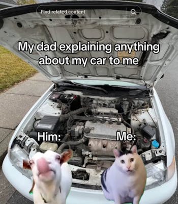 yapping cow as dad telling kid (huh cat) about car repair