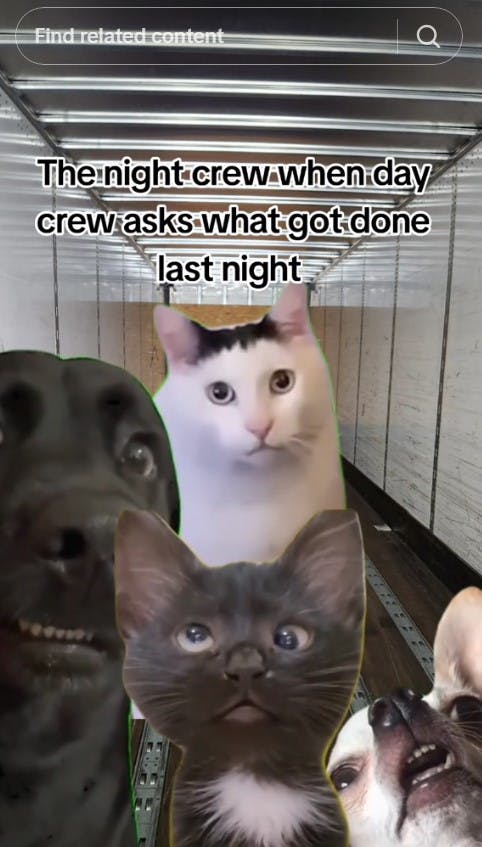 huh cat in meme that reads 'when the day crew asks what gone done last night'