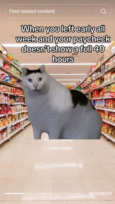 huh cat in grocery store aisle with caption 'When you left early all week and your paycheck doesn't show a full 40 hours'