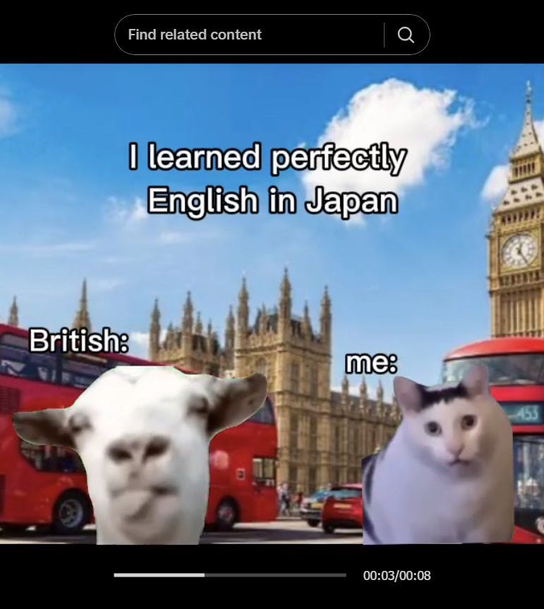 huh cat with yapping cow in meme 'i learned perfecetly English in Japan'