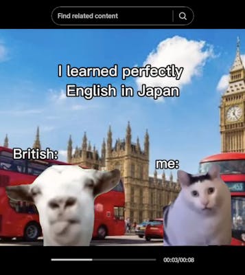 huh cat with yapping cow in meme "i learned perfecetly English in Japan"