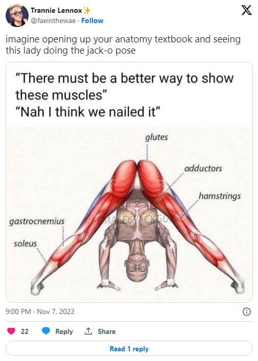 textbook muscle chart with tweet reading 'imagine opening up your anatomy textbook and seeing this lady doing the jack-o pose'