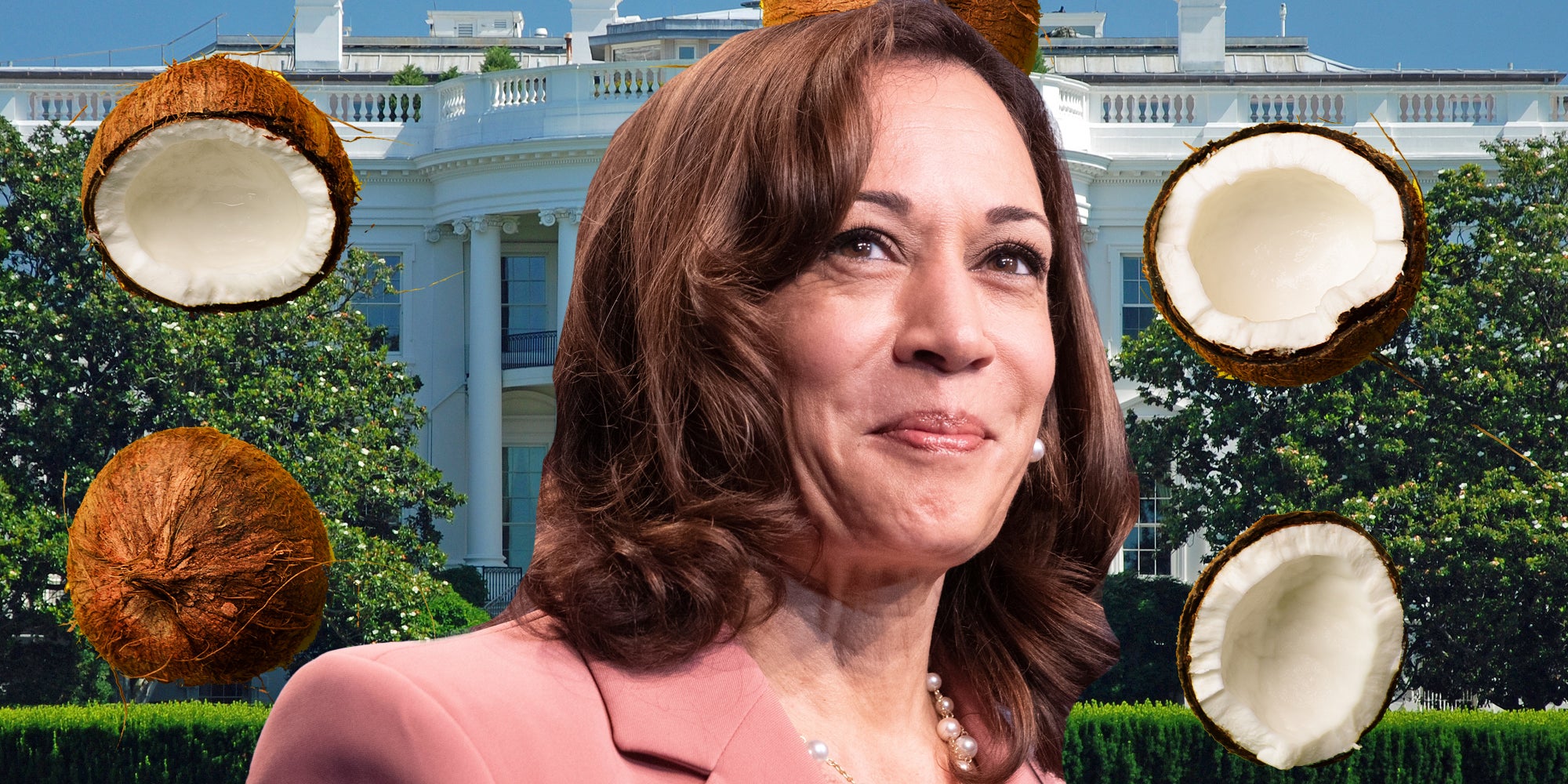 Kamala Harris over White House and coconuts