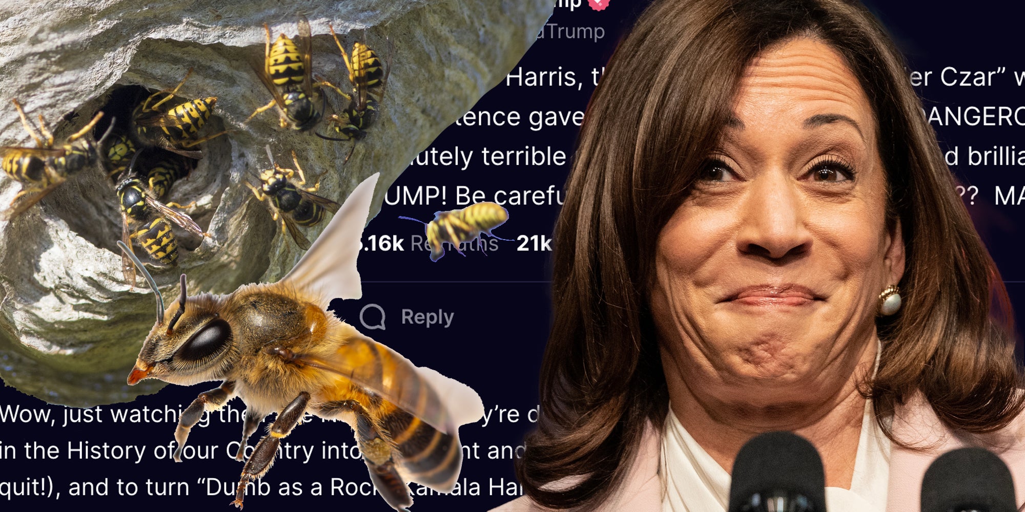 Kamala Harris behive and truth social