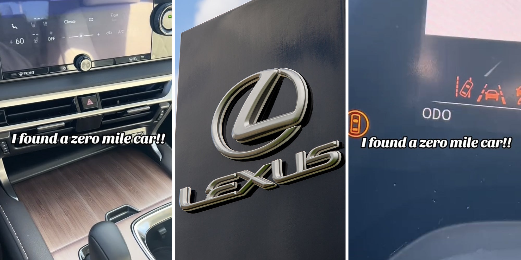 Interior car(l), Lexus logo(c), Odometer(r)