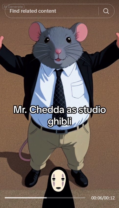 mr chedda studio ghibli