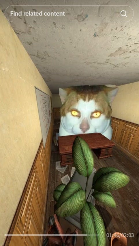 cat meme in garys mod