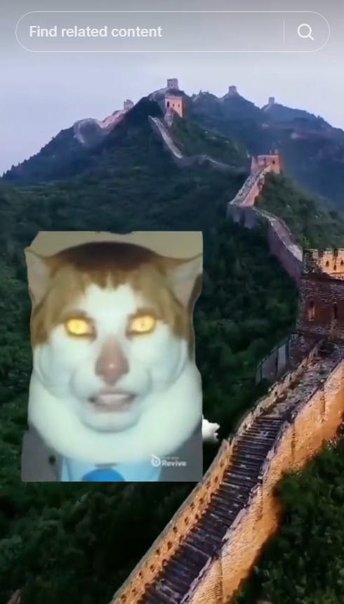 monday left me broken cat singing with great wall of china backdrop