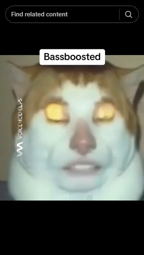 monday left me broken cat bassboosted