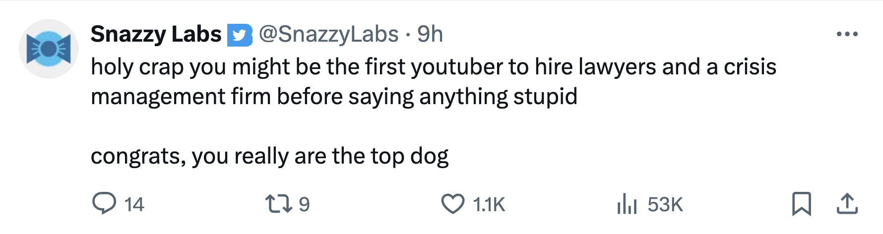 Tweet that reads, 'holy crap you might be the first youtuber to hire lawyers and a crisis management firm before saying anything stupid congrats, you really are the top dog'