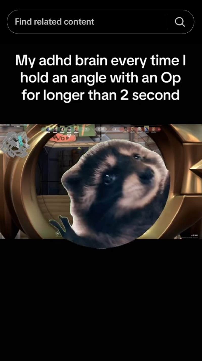Pedro Raccoon Is TikTok's Favorite Dancer