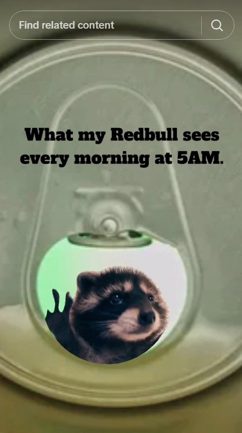 pedro raccoon inside a can with the caption 'what my redbull sees every morning at 5am'