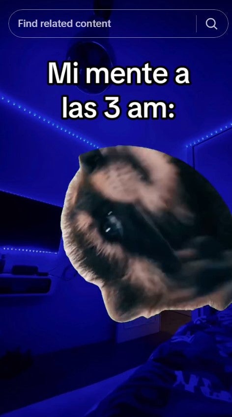 a meme about going to bed early featuring pedro raccoon with caption 'my mind at 3am'