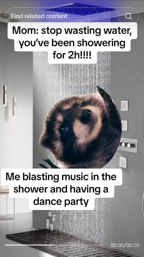 pedro raccoon in meme that reads 'Mom: stop wasting water, you've been showering for 2h!!! Me, blasting music in the shower and having a dance party'