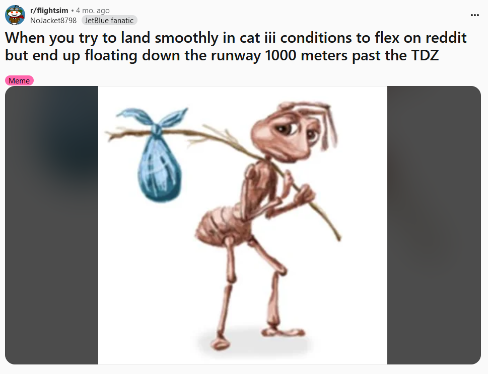 Sad ant with bindle meme about Flight Simulator.