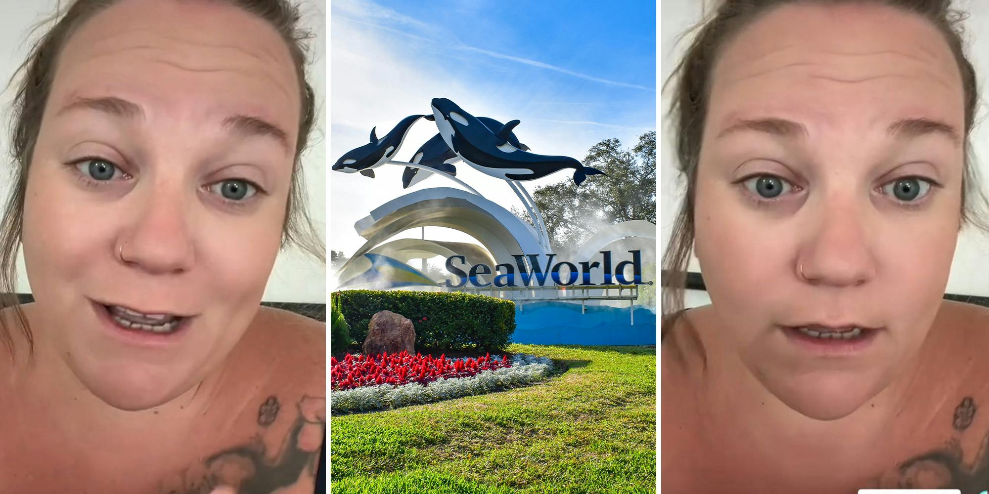 Sea World customer calls out Aquatic water park after nightmare incident