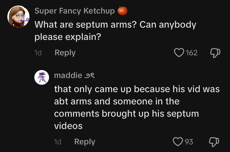 TikTok comment section conversation. Super Fancy Ketchup says, 'What are septum arms? Can anybody please explain?' And maddie replies, 'that only came up because his vid was [about] arms and someone in the comments brought up his septum videos.'