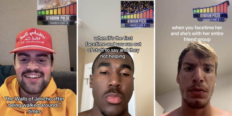 Stadium Pulse Meme From 'EA Sports College Football 25'