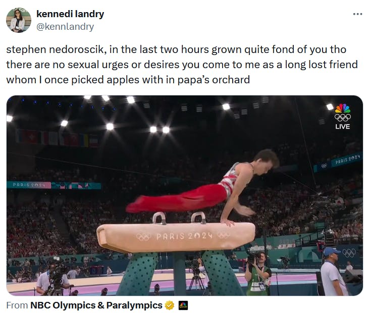 Steve Nedoroscik meme with a screenshot of the gymnast on the pommel horse.