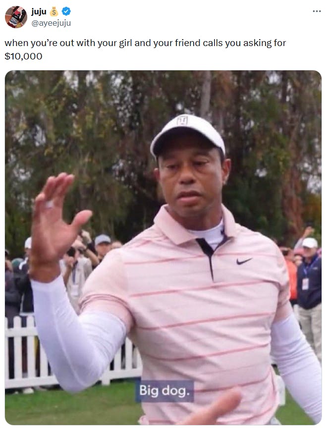 Tiger Woods big dog meme about friends asking for money.