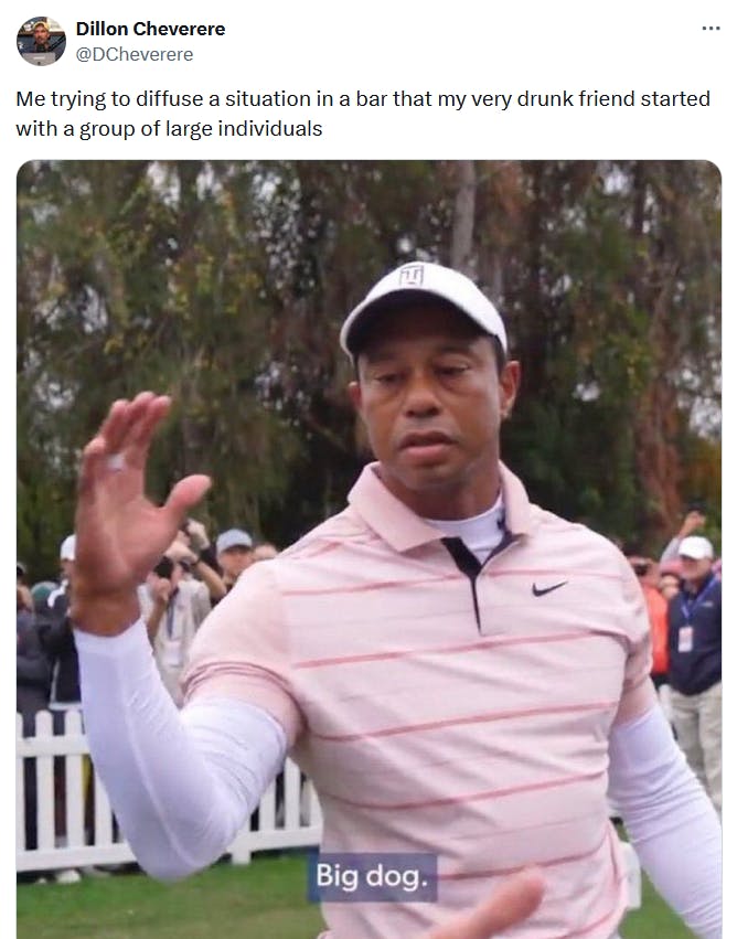 Tiger Woods big dog meme about bar fights.