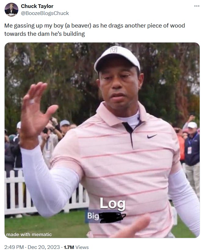 Tiger Woods big dog meme about beavers that says 'big log.'