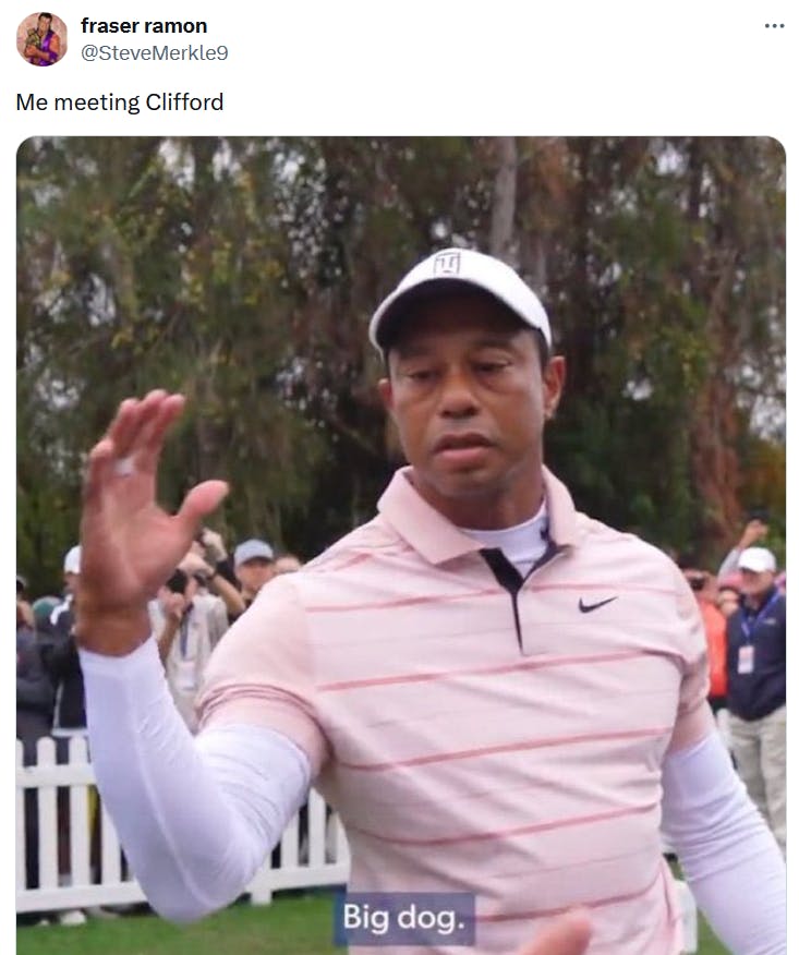 Tiger Woods big dog meme referencing Clifford.