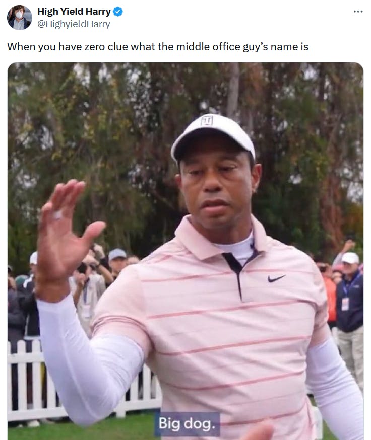 Tiger Woods big dog meme about forgetting names.