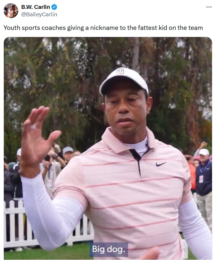 Tiger Woods big dog meme about youth sports coaches.