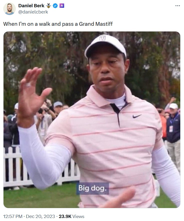 Tiger Woods big dog meme about Grand Mastiffs.