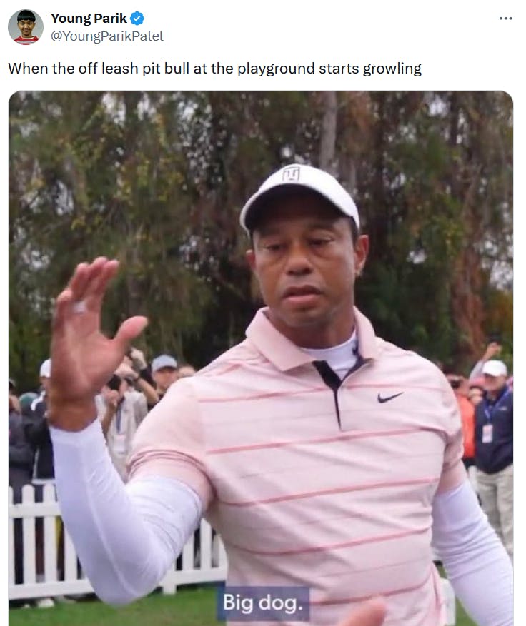 Tiger Woods big dog meme about pit bulls.