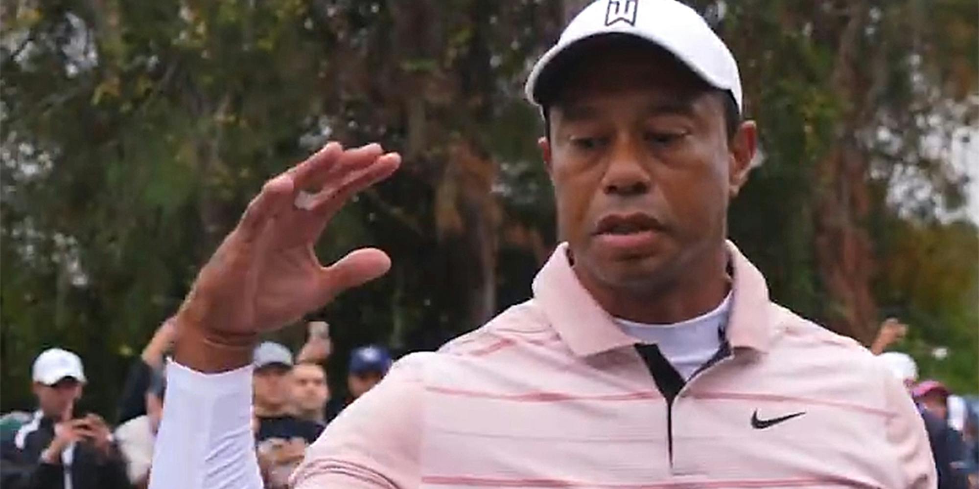 tiger woods saying "big dog" while giving a high-five