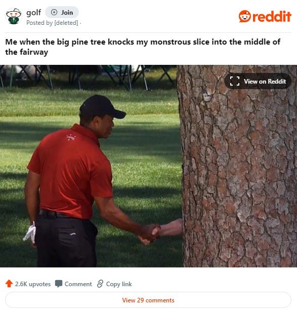 Tiger Woods tree meme with caption 'e when the big pine tree knocks my monstrous slice into the middle of the fairway'