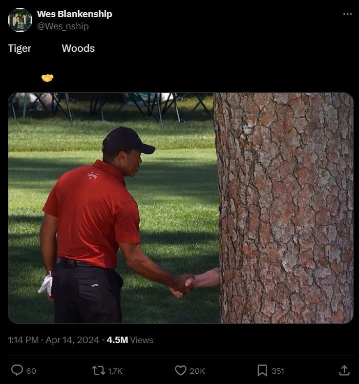 Tiger woods tree meme with caption 'Tiger Woods