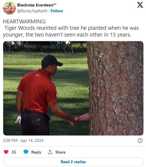 Tiger woods shaking hands with a tree meme in a tweet that reads 'HEARTWARMING: Tiger Woods reunited with tree he planted when he was younger, the two haven’t seen each other in 15 years'