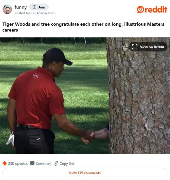 Reddit post with Tiger Woods tree meme and caption 'Tiger Woods and tree congratulate each other on long, illustrious Masters careers'